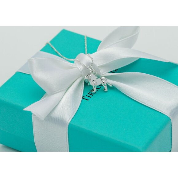 Tiffany & Co. Lion Necklace Save the Wild Lion Charm Pendant in Silver 16" Chain - Picture 6 of 8